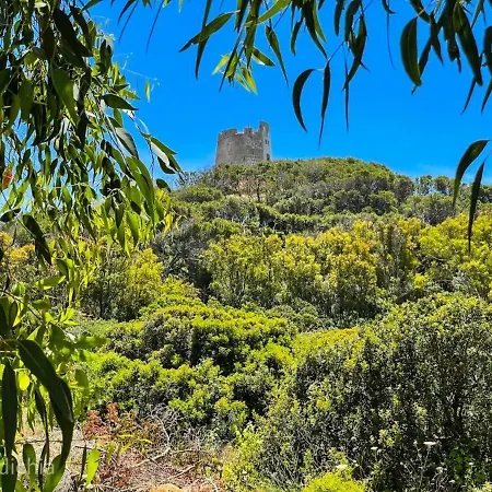 Holiday home Torre Di Chia
